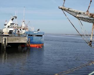 Gafanha da Nazaré: Navio a meter água no cais bacalhoeiro corria risco de adernar. 