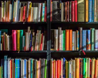 Câmara de Albergaria-a-Velha assinala hoje o Dia Internacional da Doação de Livros.