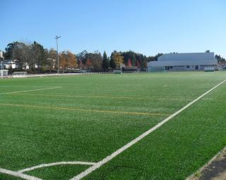 Branca com primeiro campo oficial FIFA em Albergaria.