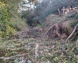  Quercus denuncia "crime ambiental" no Rio Marnel.
