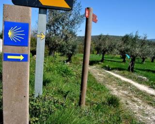 Turismo do Centro aprova regulação do Caminho Português de Santiago e assume interesse na Certificação. 