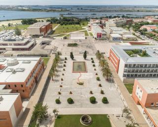 Universidade de Aveiro quer ser 'laboratório vivo' na área da economia circular para a construção.