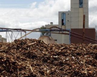 BE afirma preocupação pelo anúncio da central de biomassa para a região de Aveiro.