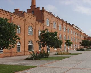 Aveiro: COTEC Innovation Summit 2022 debate futuro da economia.