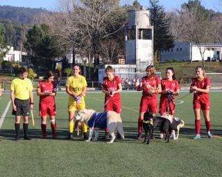 Clube de Albergaria dá apoio à causa animal.