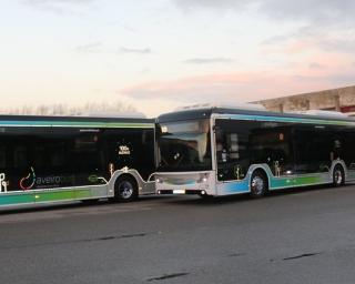 Aveiro: Autarquia prepara investimento em autocarros elétricos.