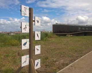 Aveiro: CMIA com atividades da bandeira azul.