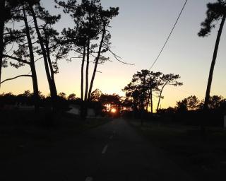 Avanca: Avós e netos celebram Dia da Floresta e da Árvore.