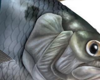 UA promove concurso e exposição internacionais de ilustração científica e naturalista “Rio Minho, biodiversidade e artes de pesca: