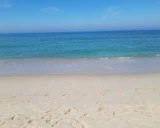 'Sailors for the Sea Portugal' recolhem lixo na Costa Nova.