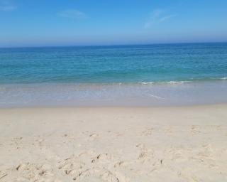 Gafanha da Encarnação: Pais recolhem lixo na praia da Costa Nova.