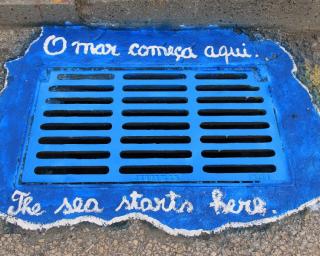 Alunos de escola da Costa Nova enviam recado ambiental a residentes e turistas.