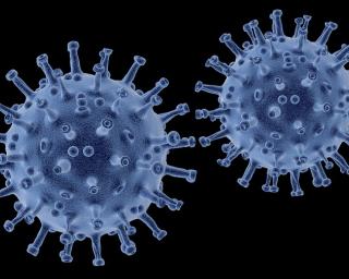 Pandemia: Menos 350 internados em dia com 111 mortes e 1502 casos de Covid em Portugal.