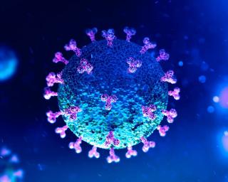 Pandemia - Novos Máximos: Mais 219 mortos e 14.647 casos de Covid-19.