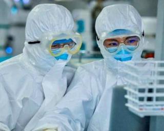Helga Correia pede à DGS critério na divulgação de óbitos da pandemia.