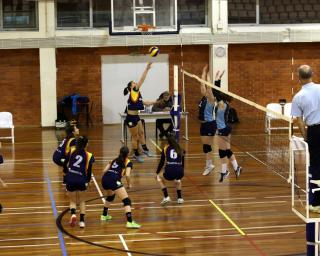 Aveiro: Clube de Voleibol venceu em jornada dupla.