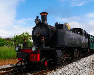 Comboio histórico do Vouga realiza quatro viagens este mês.