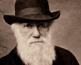 Fábrica Centro Ciência Viva dedica fim de semana a Charles Darwin.