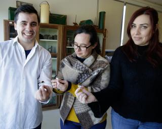 Cerca de 200 espécies de insetos, com foco nos polinizadores, em três espaços da UA.