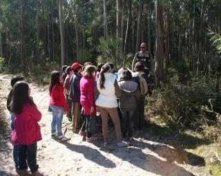 Ílhavo: Alunos do 4.º ano vão estar “De Olho na Floresta”.