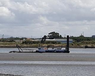 Movimento 'MARIA' já foi chamado ao inquérito sobre dragagens na Ria de Aveiro.