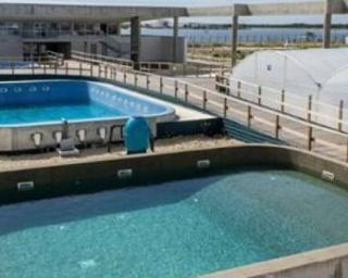 UA prepara programa para celebrar Dia dos Oceanos.