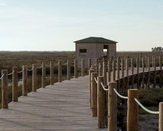 Aveiro: Nova Via Ecológica Ciclável é inaugurada no domingo.