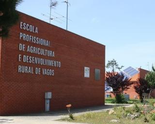 Vagos: Escola Profissional de Agricultura entrega diplomas e certificados de Certificação de Competências. 