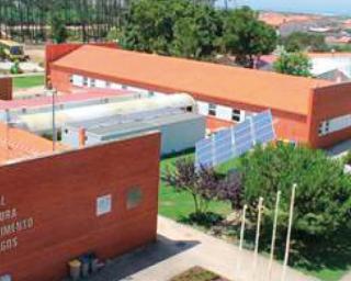 Vagos: Antigo diretor da Escola Profissional de Agricultura nega negócios ilegais com areias.