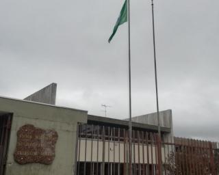 Ílhavo: Agrupamento de Escolas quer captar alunos de toda a região.