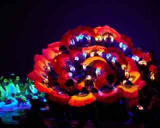 São João da Madeira recebe finalíssima das Escolíadas.