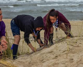 Ílhavo: Agrupamentos de Escuteiros recebem prémio ambiental.