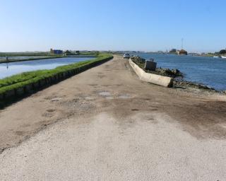 Aveiro: Autarquia adjudica estrada-dique junto à Marinha da Troncalhada.