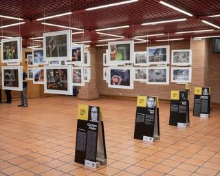 Organização do National Geographic Exodus Aveiro Fest cede 631 imagens aos Museus de Aveiro.