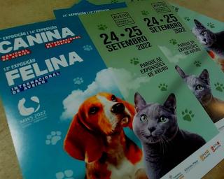 Parque de Feiras acolhe exposição Canina e Felina Internacional de Aveiro.