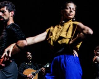 Ílhavo: Fado em espetáculo que mistura música e dança.