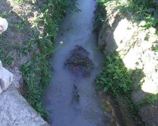 Santa Maria da Feira: 'Os Verdes' exigem ações que acabem com  descargas de esgotos na Ribeira da Lage.