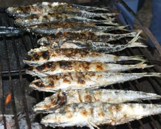 Festa da Sardinha começa hoje junto ao Mercado de Ilhavo.