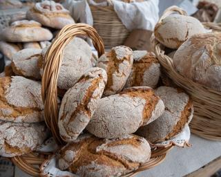 Vale de Ílhavo: Festa do Pão está de regresso.