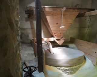 Vagos apresenta programa do festival dos moinhos