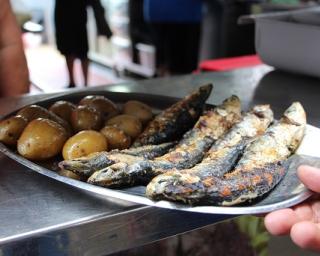 Costa Nova: Festival da Sardinha abre portas para mostrar símbolo da gastronomia portuguesa. 