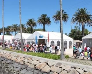Ílhavo: Autarquia assume esta semana decisão sobre a suspensão dos eventos de Verão.
