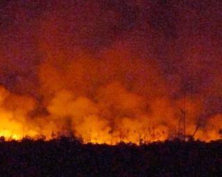 Incêndio florestal dominado em Sever do Vouga.
