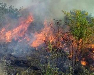 Risco máximo de incêndio em 25 concelhos do interior Norte, Centro e Alto Alentejo. Aveiro integra a lista.