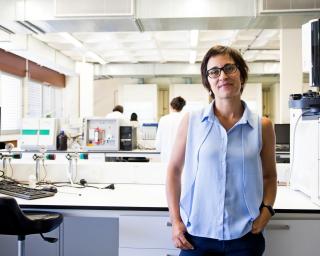 Seis cientistas da Universidade de Aveiro entre as mulheres homenageadas pela Ciência Viva.