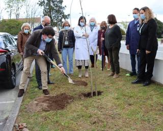  Hospital de Ovar assinalou Dia Mundial da Árvore e da Floresta.