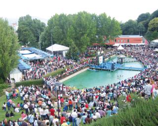 Feira Nacional do Mirtilo é inaugurada na quinta-feira.