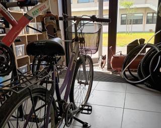 Gafanha da Nazaré: Bicicletas do Gafanha Bike Lab vão para as jornadas mundiais da juventude.