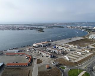 Gafanha da Nazaré: Lota do Porto de Aveiro é a 4.ª nacional em vendas e volume de pescado.