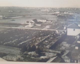 Gafanha da Nazaré é cidade há 22 anos.